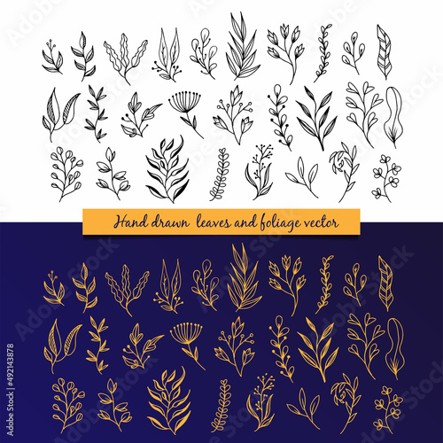 Collection set of Hand drawn leave and foliage