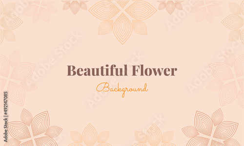 beautiful flower petals background