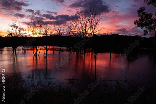 Firey red sunset over Lake Wyaralong Dam in Queensland with stark silhouettes of drowned trees and water reflections. © Inge