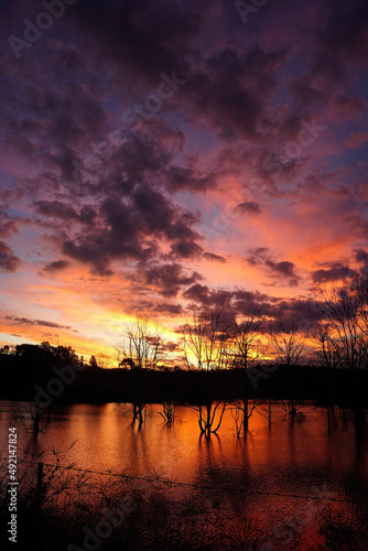 Fiery sunset over Lake Wyaralong Dam in Queensland with stark silhouettes of drowned trees and water reflections.