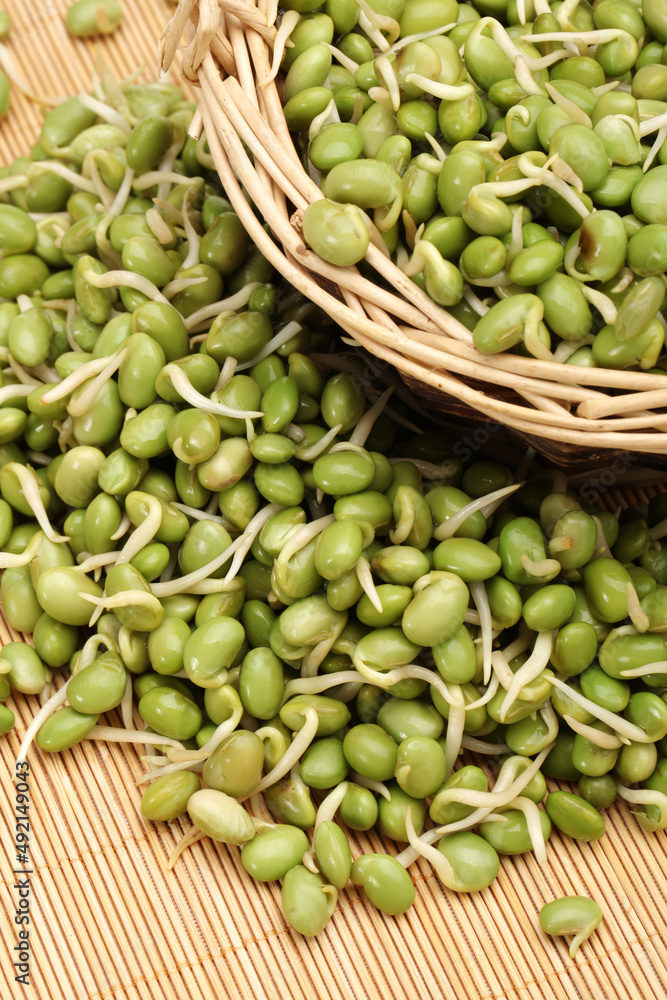 green soybean sprouts on white background green soybean sprouts on white background