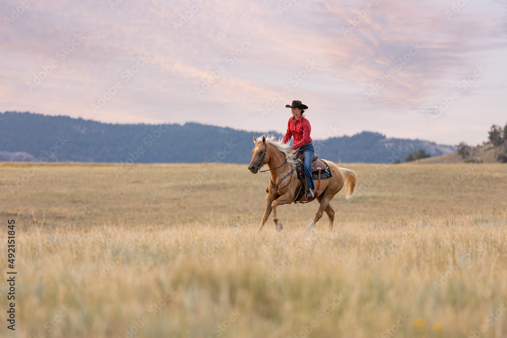 Cowgirl on Palomino
