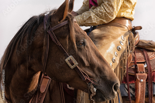 True Cowgirl