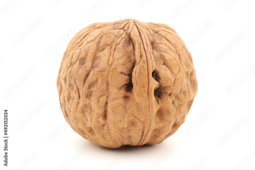 walnuts on white background walnuts on white background