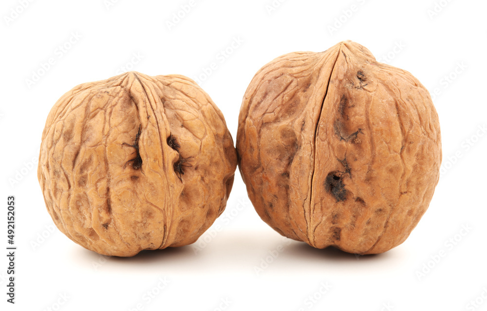 walnuts on a white background walnuts on a white background