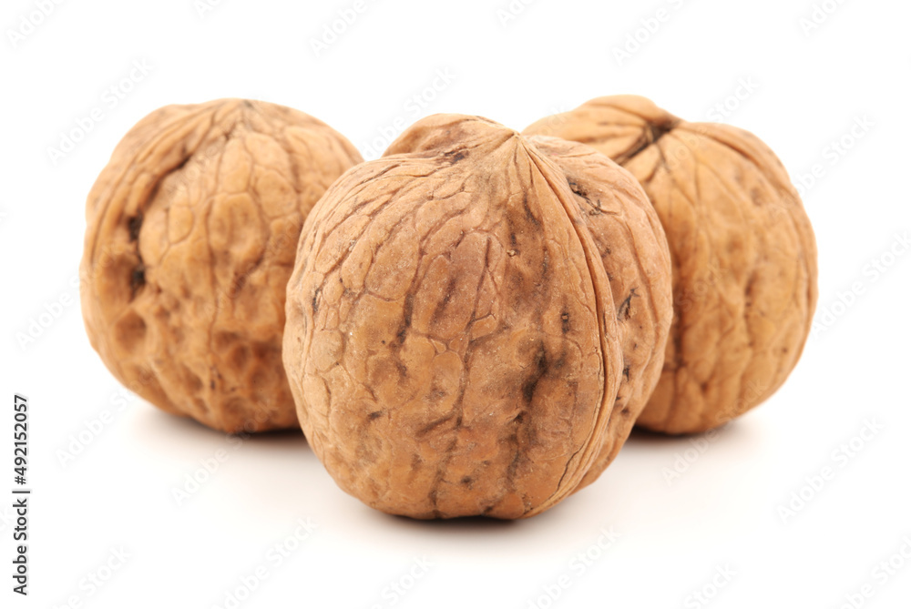 walnut isolated on white background walnut isolated on white background