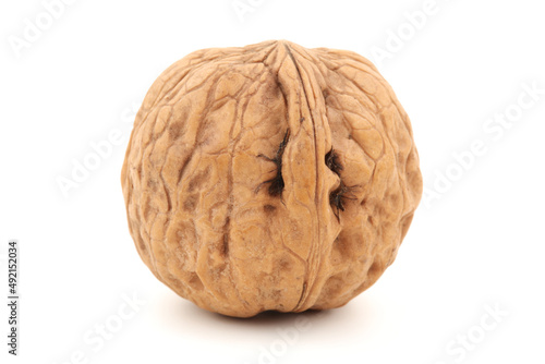 walnuts on white background