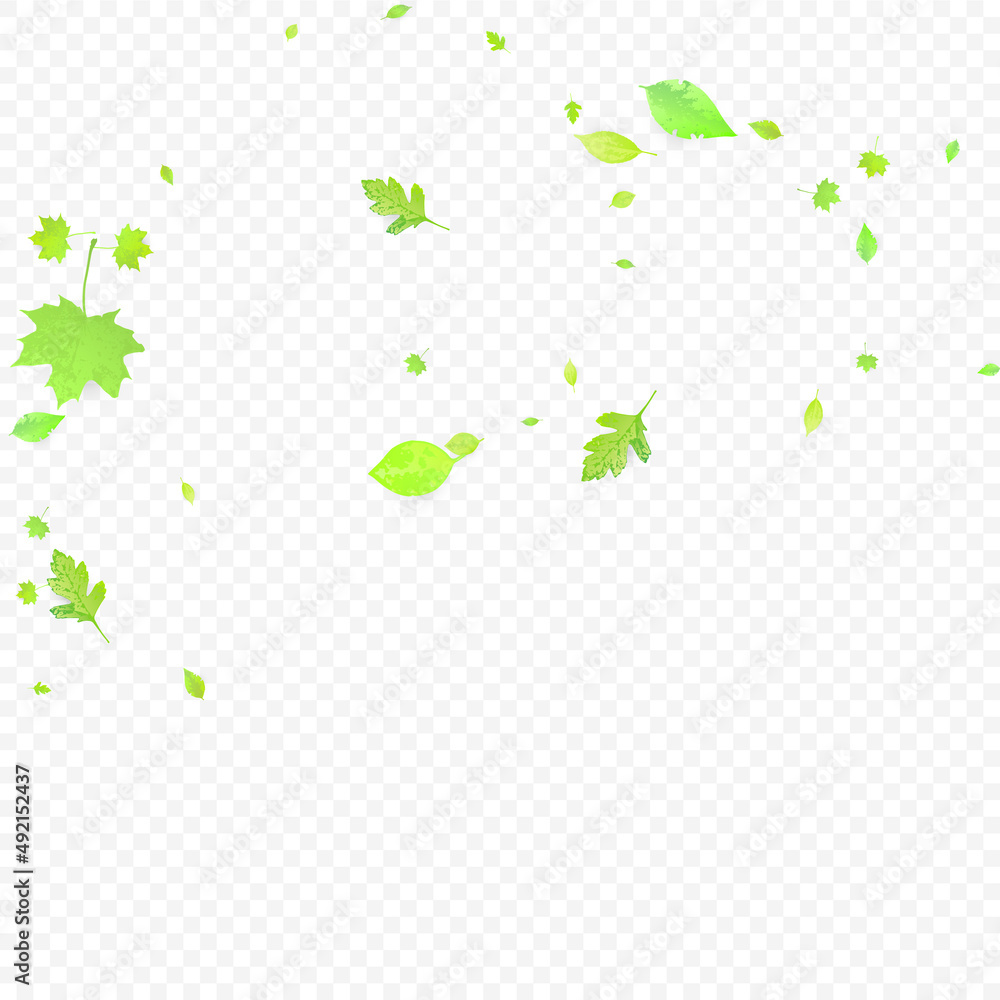 Leaves Falling Spring Flying Foliage Green Leaf Leaves Falling Spring Flying Foliage Green Leaf