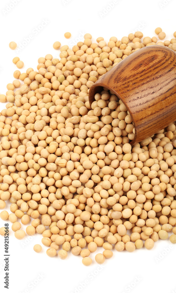 Obraz premium soybean isolated on white background