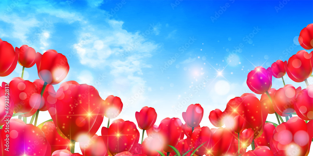 チューリップ　花　春　背景