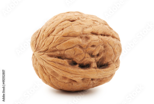 walnuts on white background 