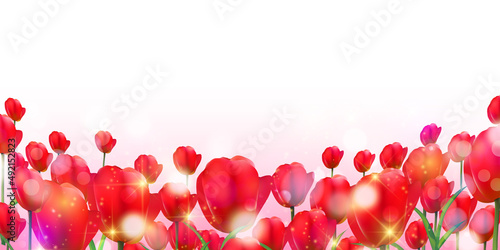 チューリップ　花　春　背景