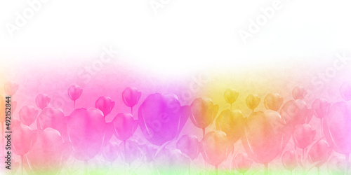 チューリップ　花　春　背景