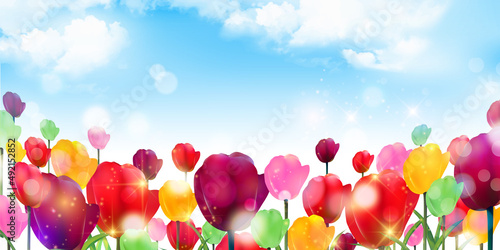 チューリップ　花　春　背景