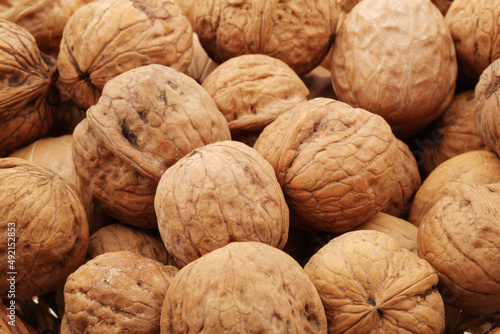 walnut background