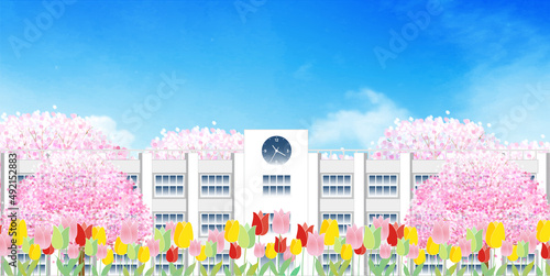 チューリップ　学校　花　背景