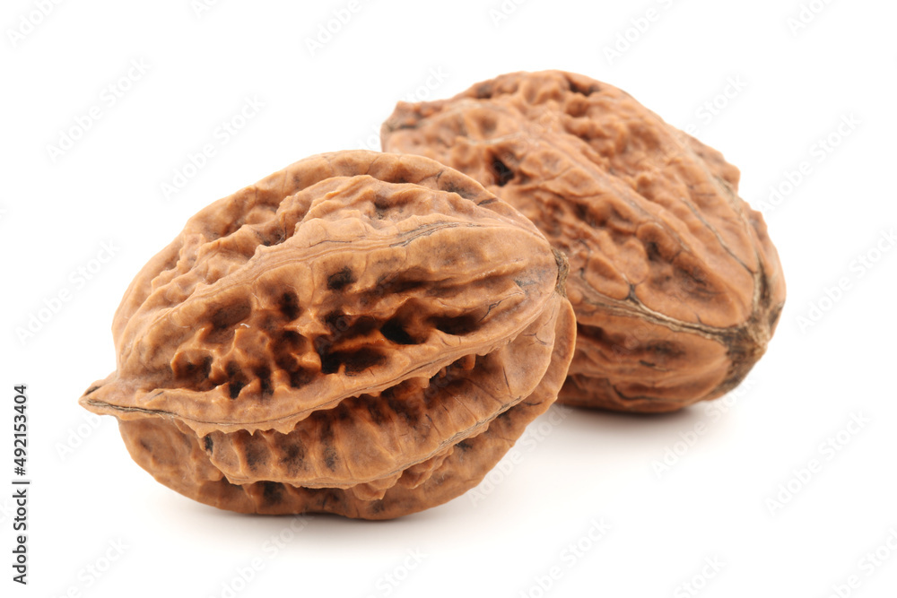walnut on a white background walnut on a white background