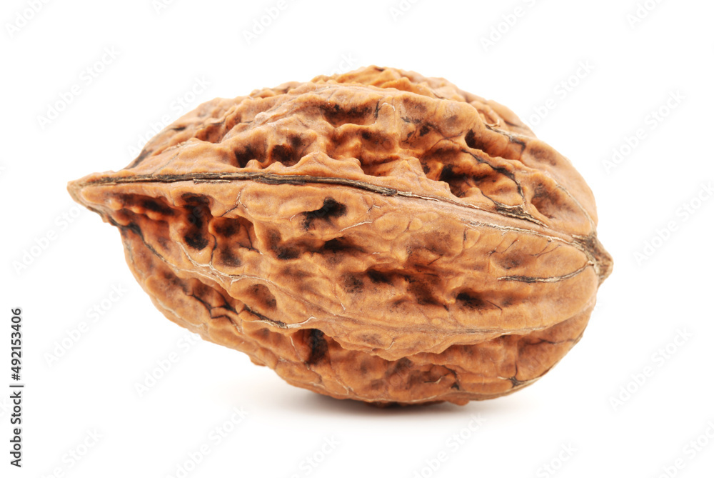 walnut on a white background walnut on a white background