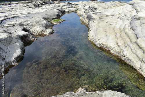 岩でできた海の池の水面に空模様が映ります海底には海藻そしてウミムシが歩いています