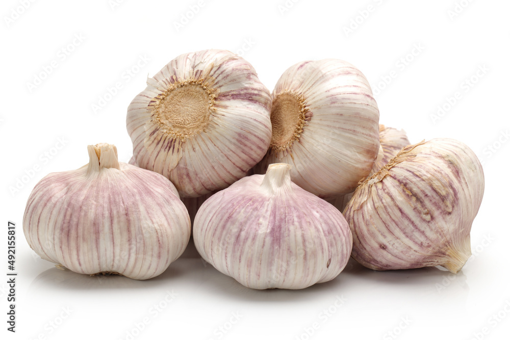 fresh garlic isolated on white background fresh garlic isolated on white background