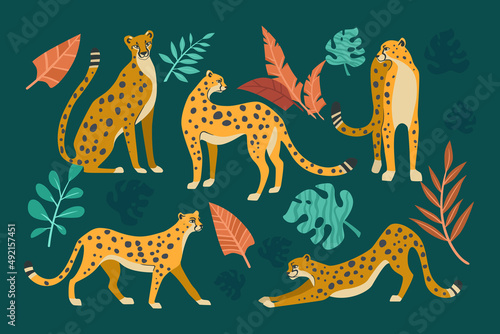 Cheetahs in different poses cartoon illustration set. Seamless pattern with leopards or jaguars with tropical leaves and plants isolated on dark green background. Wild animal, cat, jungle concept