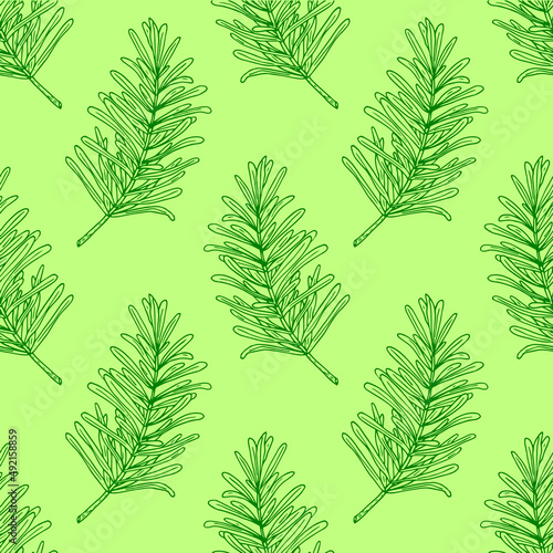 rosemary leaves seamless pattern. wrapping paper, label, menu, kitchen textiles. sketch hand drawn doodle. vector monochrome minimalism. plant, spice.