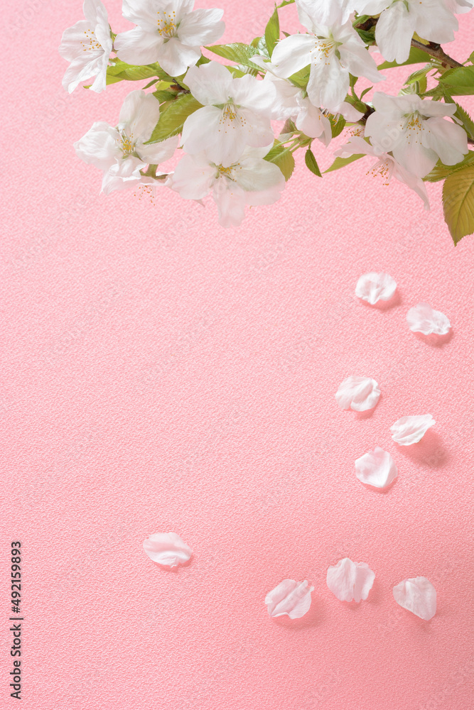 桜の布 和風の布 桜の布 和風の布