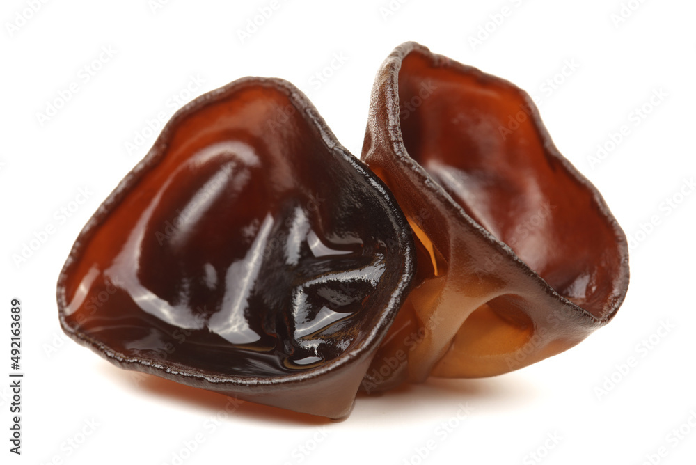 black fungus on white background black fungus on white background