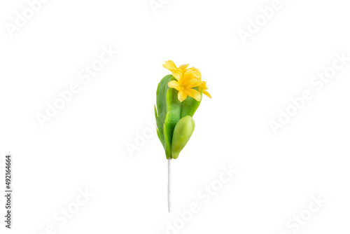 Handmade cactus isolated on white background. With clipping path 