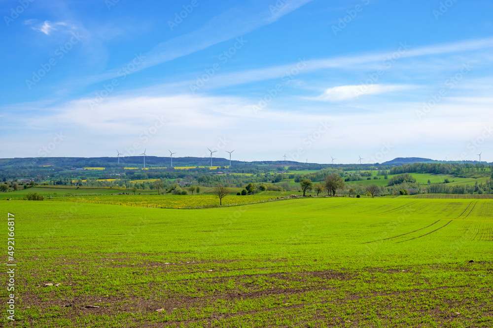Landscape view with a green field in the countryside