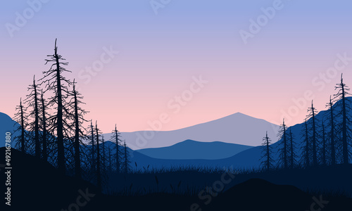 Stunning mountain view at dusk from the forest with the silhouettes of dry trees around