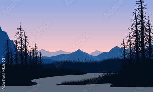 Amazing view of the mountain with the silhouette of dry fir trees at sunset from the sea