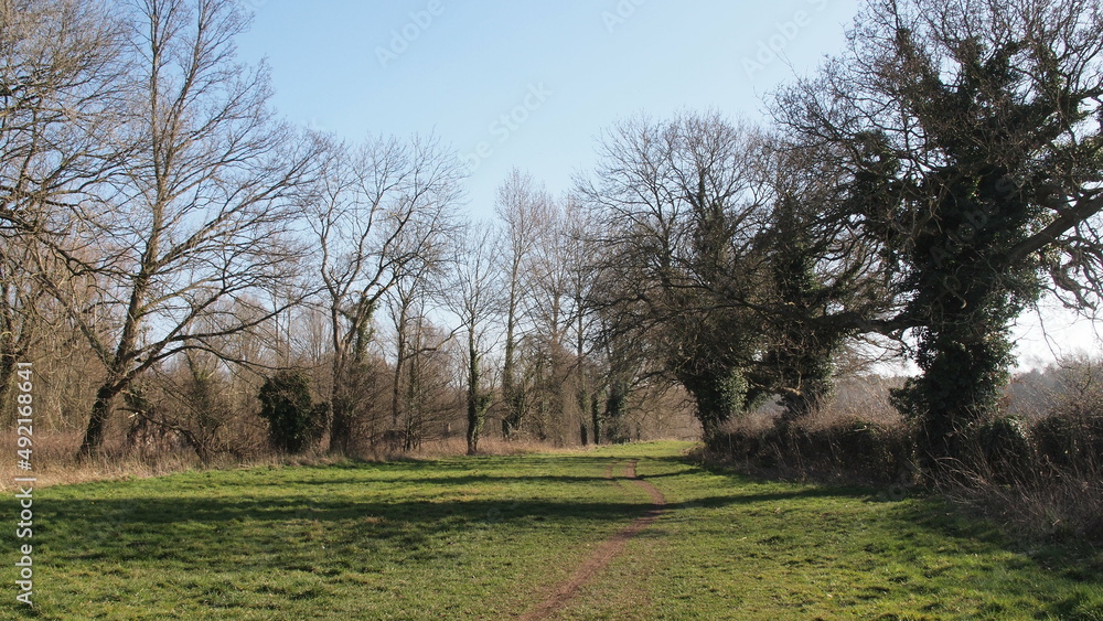 Spring in Norwich