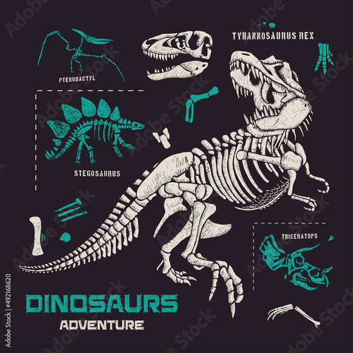 Dinosaurs fossils and bones hand drawn vector illustration 