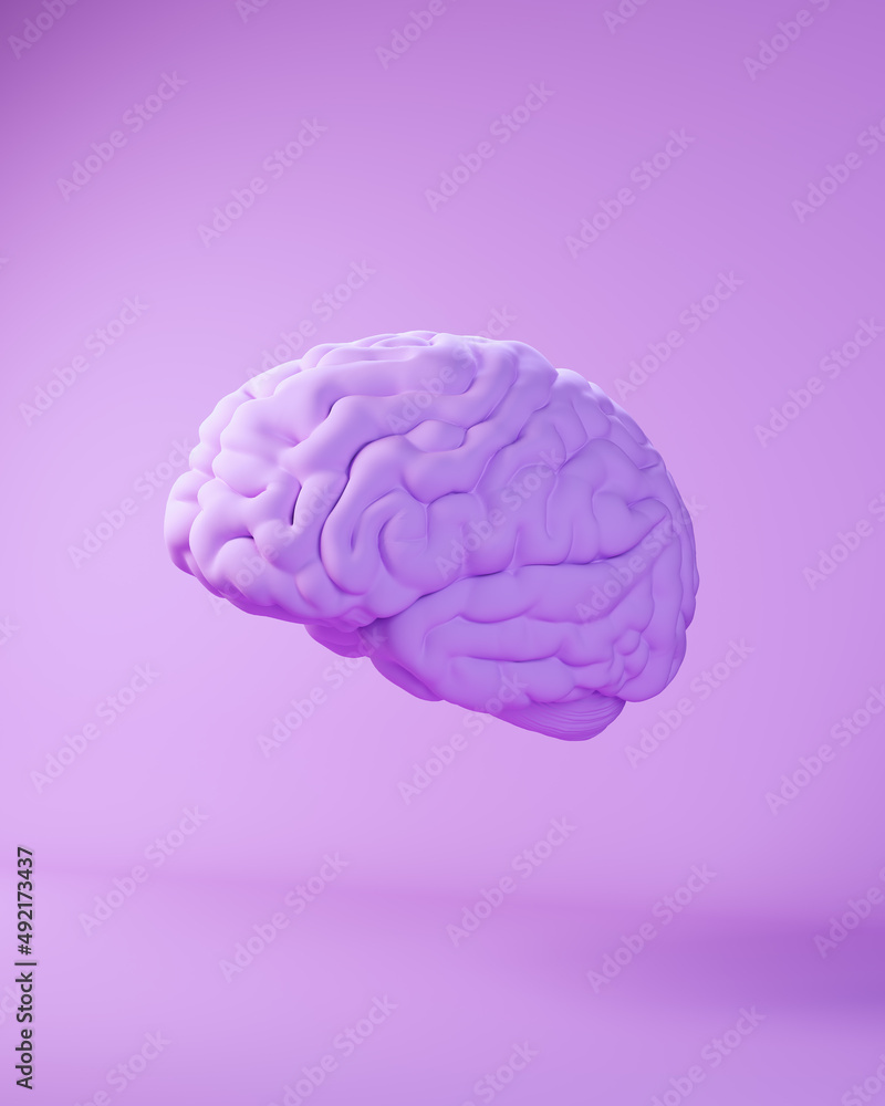 Purple Lavender Brain Human Anatomy Medical Mind Intelligence Science 3d illustration render Purple Lavender Brain Human Anatomy Medical Mind Intelligence Science 3d illustration render