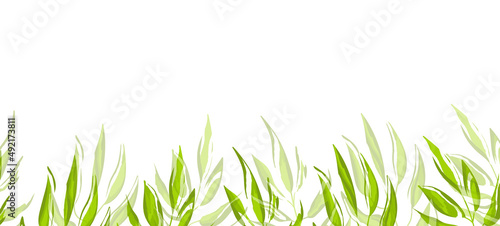 Floral web banner with drawn color exotic leaves. Nature concept design. Modern floral compositions with summer branches. Vector illustration on the theme of ecology, natura, environment