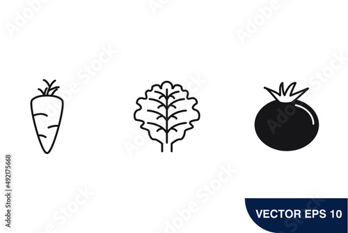 Vegetable icons  symbol vector elements for infographic web