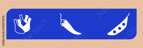 Vegetable icons  symbol vector elements for infographic web