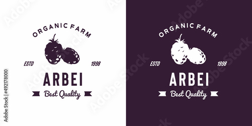 vintage arbei fruit logo illustration suitable for fruit shop and fruit farm