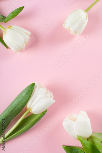 Fototapeta Naklejka Na Ścianę i Meble -  Spring greeting card. Tulips flowers on pink background. Flat lay, top view, copy space