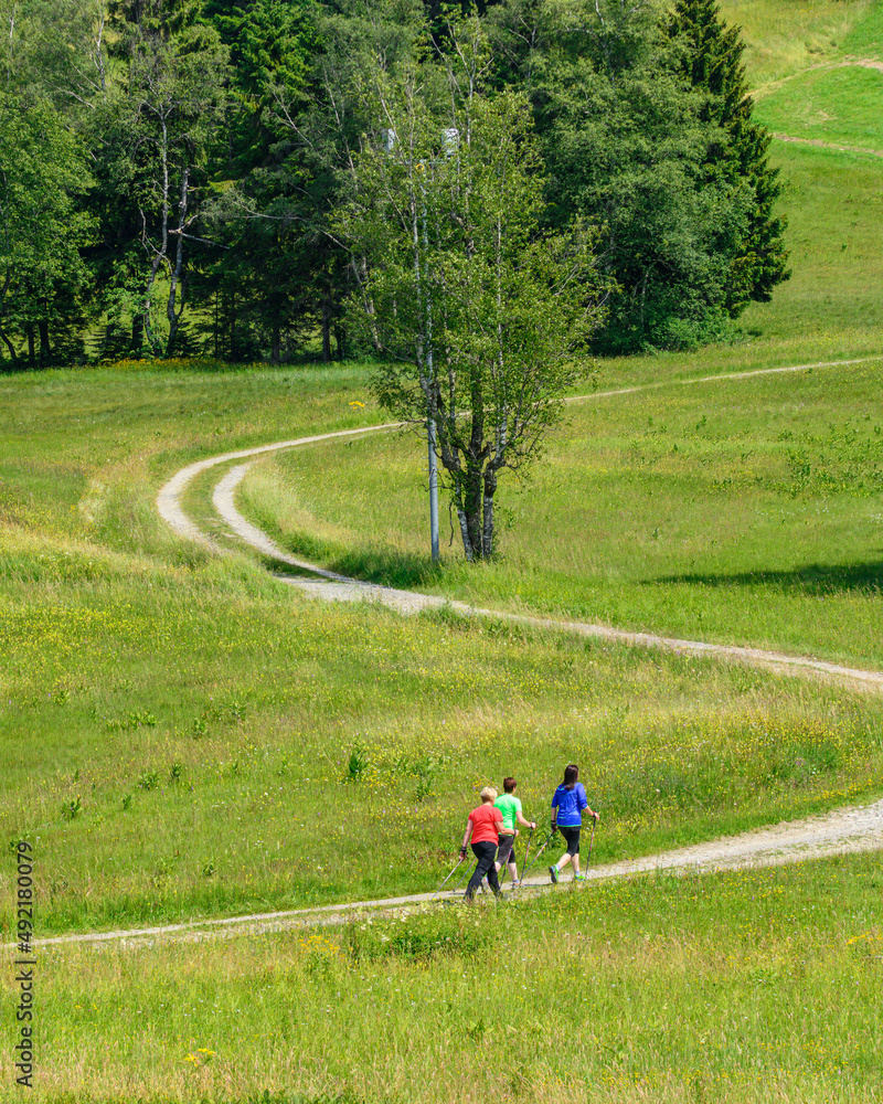 Fototapeta premium Nordic Walking in der Gruppe