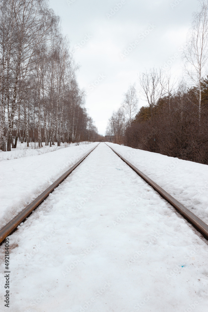 Naklejka premium A railway going to the perspective with trees - pines and birches are on the side. During a snowy winter or spring