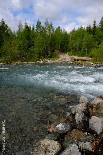 river in the forest
