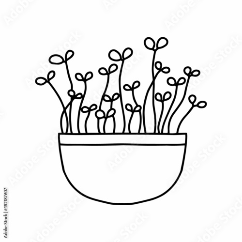  Pot of microgreens. Microgreens peas, radish, onion, arugula. sunflower, beets and others. Vector illustration isolated on white background. Doodle style.