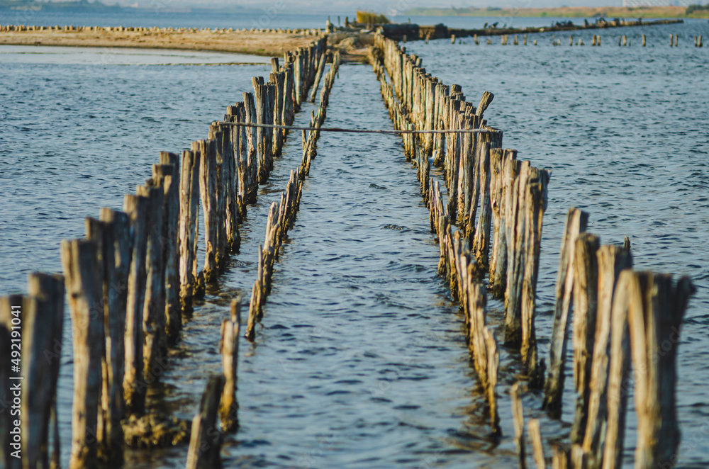 Lake Pomorie, protected area, located on the Via Pontica bird migration route. Bulgarian lake with ornithological importance. Lake Pomorie, protected area, located on the Via Pontica bird migration route. Bulgarian lake with ornithological importance.