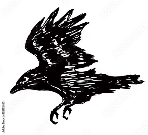Black grunge brush raven silhouette isolated on white background. Flying raven. Ink drawing