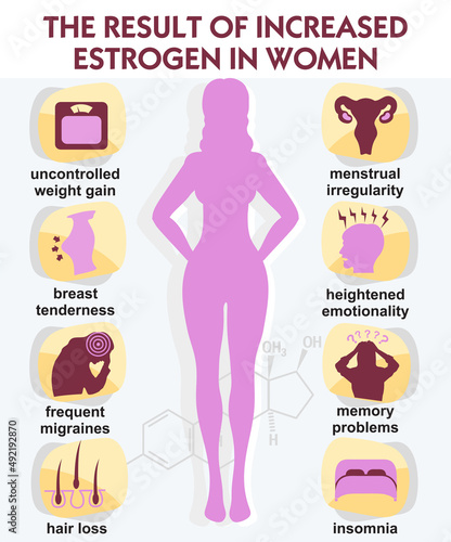 The result increased estrogen in women. Infographic vector. Estrogen hormone levels. Female sex hormone and it s role in human body. Scientific, educational and popular-scientific concept