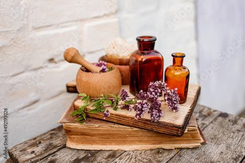 Oregano, Collect valuable flowers Origanum vulgare from moment of flowering, and start drying. Decoction of sweet marjoram and infusion in clear bottle. alternative medicine. Herbal concept photo