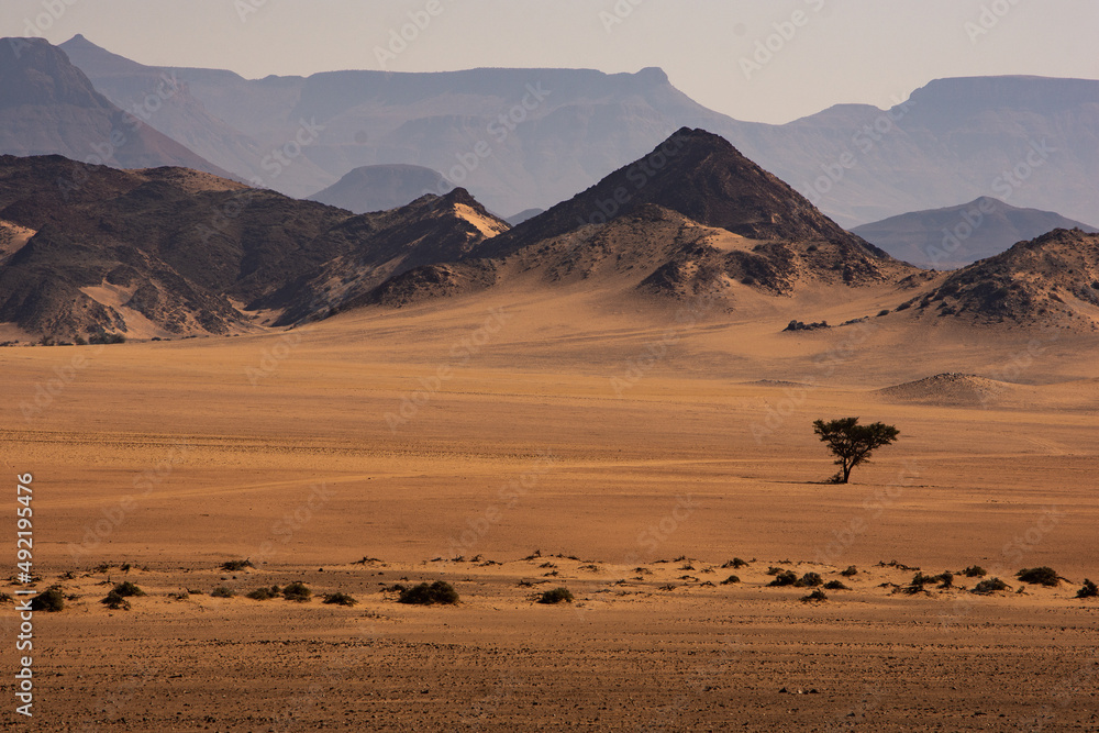 Dry open landscape of Damaraland Namibia with a single acacia tree Dry open landscape of Damaraland Namibia with a single acacia tree