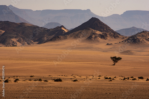 Dry open landscape of Damaraland Namibia with a single acacia tree